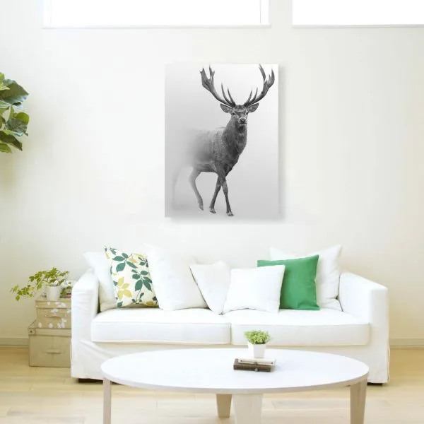 Grey deer snow