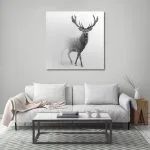 Grey deer snow