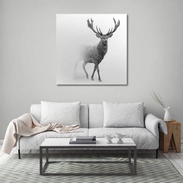 Grey deer snow
