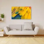 Yellow blue feathers